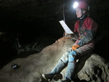 Thumbnail of photo from this article